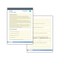 Example of Shine Interventions English sheet