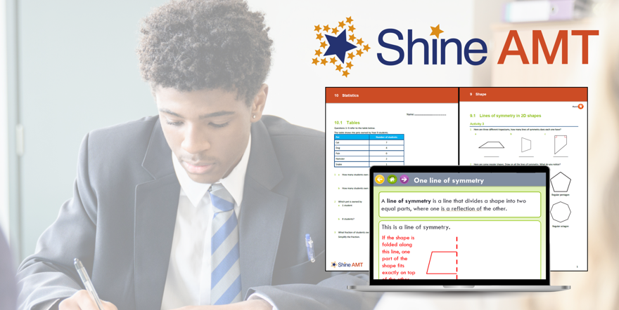 teacher using shine interventions amt on a computer